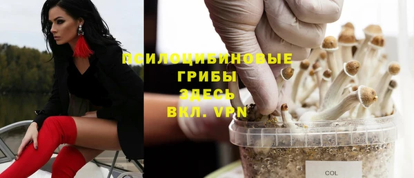 a pvp Мегион