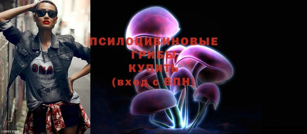 Альфа ПВП Медвежьегорск